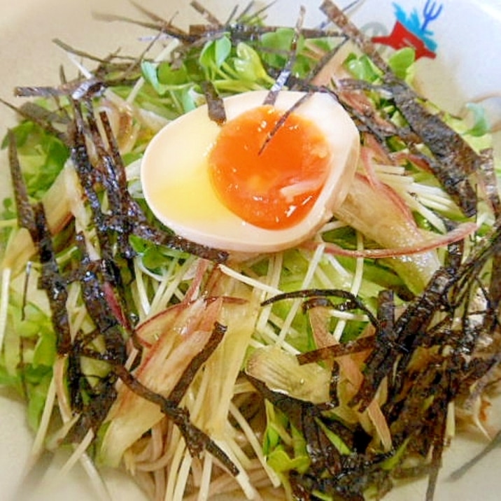 簡単 安い ヘルシーな サラダ蕎麦 レシピ 作り方 By アルプスの乙女 楽天レシピ 簡単 安い ヘルシーな サラダ蕎麦 レシピ 作り方 By アルプスの乙女 楽天レシピ